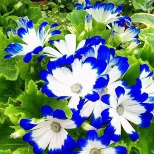 CLOSET CLEAR OUT,  MAKE AN OFFER